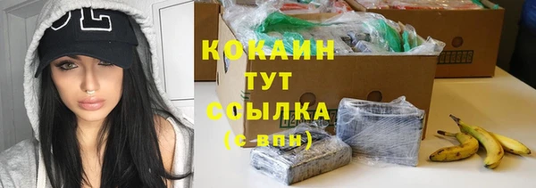 бошки Гусь-Хрустальный