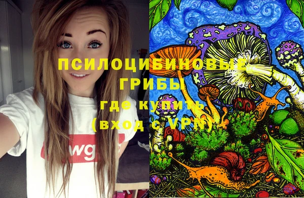 эйфоретик Кущёвская