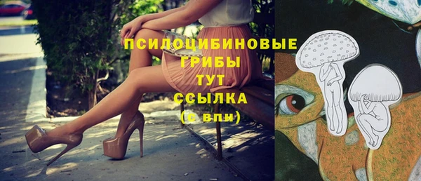 СК Гусев