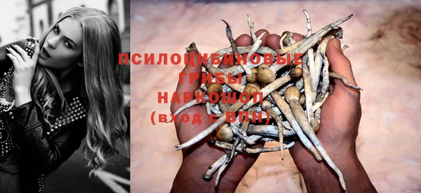 СК Гусев